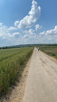 Road to Bockenheim
